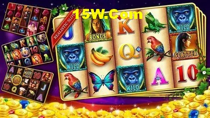 VIP Bronze Benefits